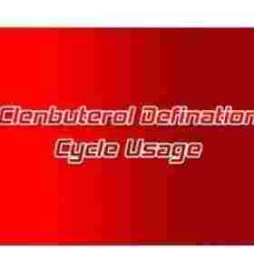 Clenbuterol Definition Cycle