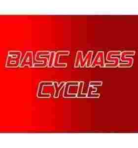 Basic Mass Steroid Cycle