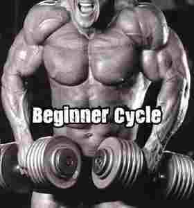 Beginner Steroid Cycle Beginner Steroid Cycle