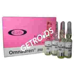 Jelfa Omnadren 250 Jelfa INT – Buy Testosterone Phenylpropionate Online Jelfa Omnadren 250 Jelfa INT – Buy Testosterone Phenylpropionate Online