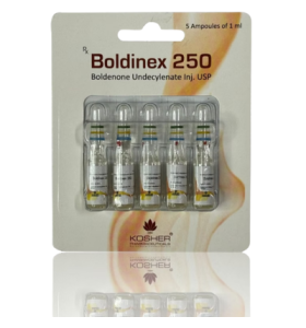 Kosher Pharma INT Boldinex 250 Kosher Pharma INT – Buy Boldenone Undecylenate Online Kosher Pharma INT Boldinex 250 Kosher Pharma INT – Buy Boldenone Undecylenate Online