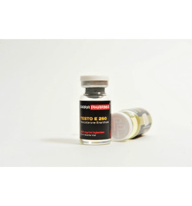 Para Pharma Testo E 2500 Mg 10 Ml Para Pharma – Buy Injectable Steroids (Liquids) -> Injectable Steroids (Liquids) Online Para Pharma Testo E 2500 Mg 10 Ml Para Pharma – Buy Injectable Steroids (Liquids) -> Injectable Steroids (Liquids) Online