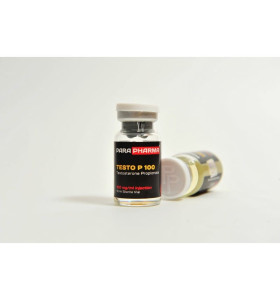Para Pharma TESTO P (Testo Propionate) 1000 Mg 10 Ml Para Pharma – Buy Injectable Steroids (Liquids) -> Injectable Steroids (Liquids) Online