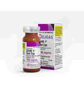 Beligas Pharma INT DHB 1 Test Cyp 100 Mg 10 Ml Beligas Pharma INT – Buy Dihydroboldenone Cypionate Online