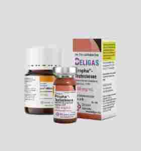 Testosterone Propionate & Winstrol Cycle Beligas USA Testosterone Propionate & Winstrol Cycle Beligas USA