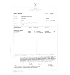 Nolvadex 20 mg 100 Tablets  Dragon Pharma