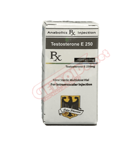 Odin Pharma Testosterone Enanthate 250 mg 10 ml Odin Pharma – Buy Injectable Steroids (Liquids) -> Injectable Steroids (Liquids) Online