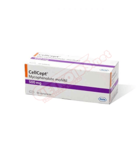 Roche CellCept 500mg 50 Tablets Roche – Buy All Online Roche CellCept 500mg 50 Tablets Roche – Buy All Online