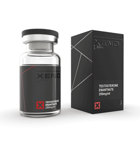 Xeno Labs US Testosterone Enanthate 250 mg 10 ml Xeno US – Buy Testosterone Enanthate Online