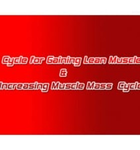 Cycle for Gaining Lean Muscle & Increasing Muscle Mass